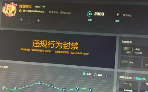 CS2完美服务器已满的含义是什么？