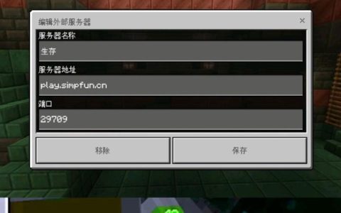 为什么我的世界官方不提供自己的服务器？