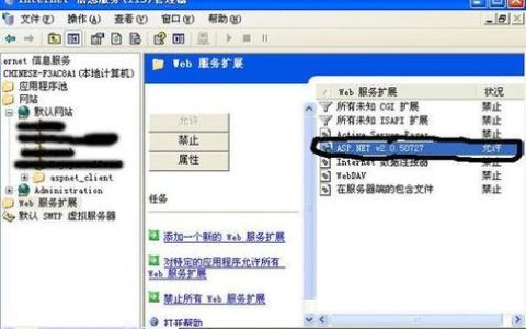 IIS提供了哪些关键网络服务功能？