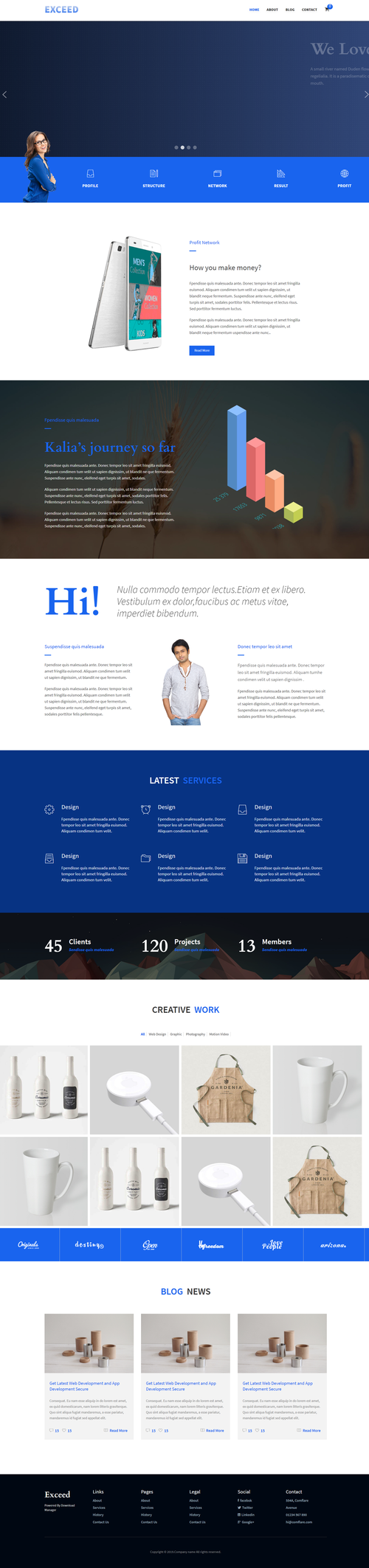 mvc网站模板_网站模板设置