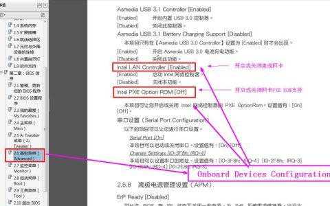 如何启用主板BIOS中的PXE启动选项？