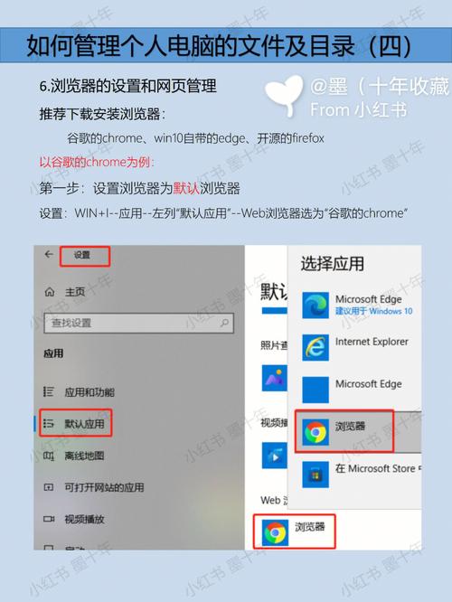 浏览器通用设置在哪里