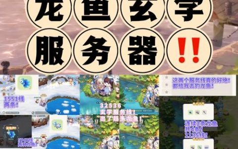 奥比岛玩家通常在哪些服务器上进行游戏？