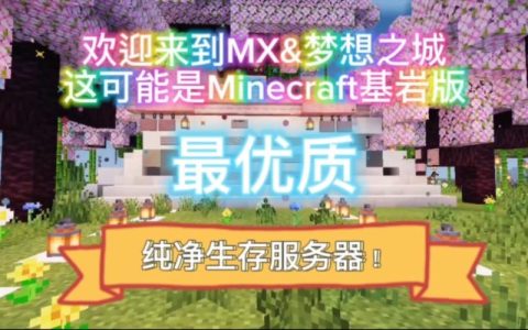 为什么我的我的世界游戏频繁自动重新连接服务器？