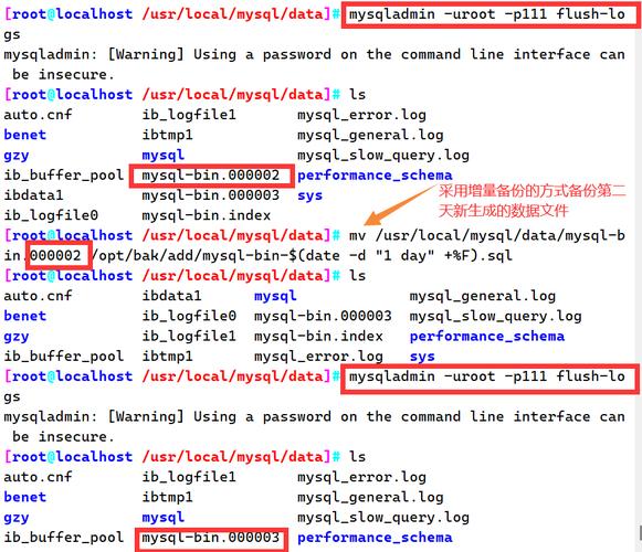mysql中保存数据库_Mysql数据库