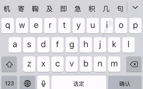 苹果输入法中的特殊键位究竟如何寻找？