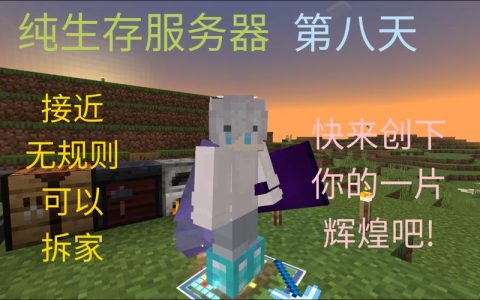 网易游戏服务器的构造与性能特点是什么？