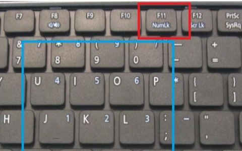 电脑中F11键的设置选项位于何处？