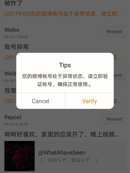 微博服务器炸了是什么意思