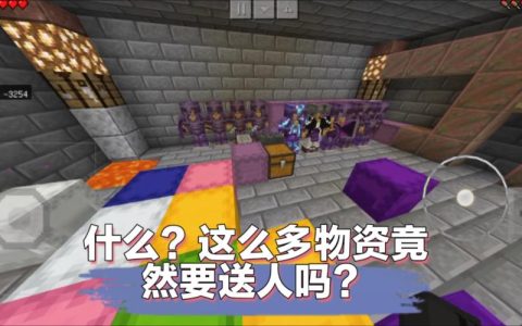 我的世界服务器安全终端存在哪些已知漏洞？