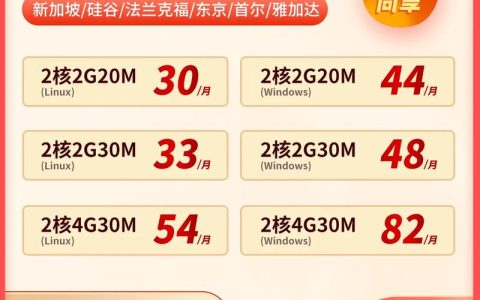 为什么海外服务器能够保持高稳定性？