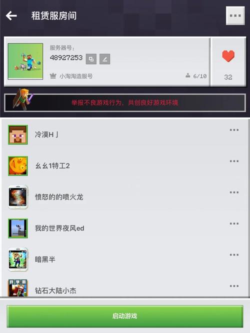 mc 服务器怎么输密码是什么意思