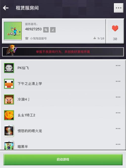 mc 服务器怎么输密码是什么意思