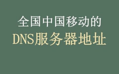 域名服务器与IP地址有何本质区别？