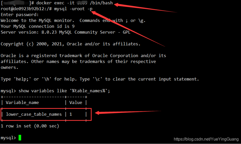 mysql8 忽略数据库大小写_忽略/取消忽略漏洞