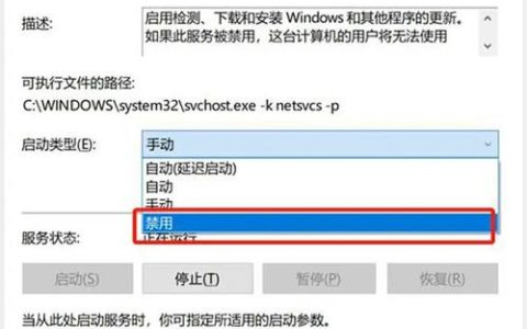 如何优化Windows 10性能，哪些内置服务器可以安全关闭？