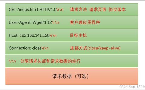 聊天应用是如何利用特定协议和服务器实现通信的？
