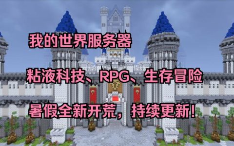 探索建筑世界，寻找那个专为玩家设计的服务器名称是什么？