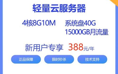 核数在云服务器性能中扮演什么角色？
