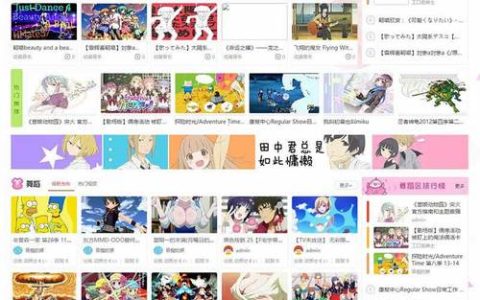 如何获取并咨询关于漫画网站的源码？