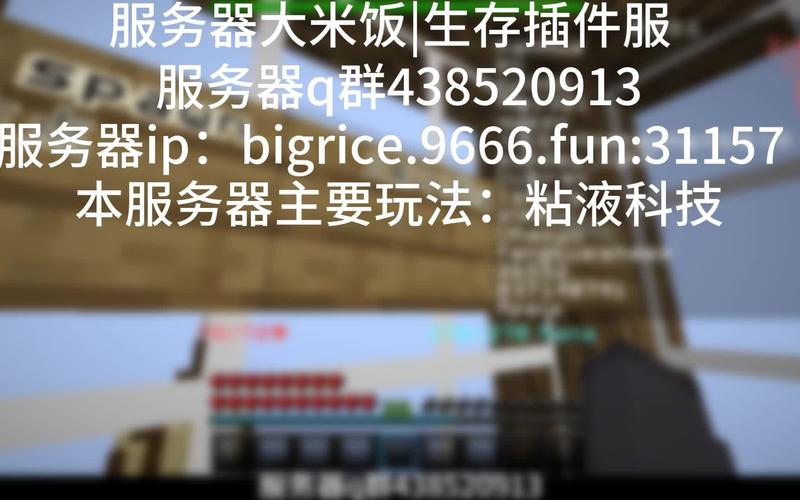 我的世界凉心的服务器叫什么