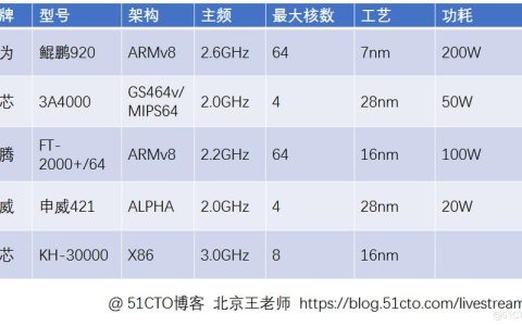 国产芯片服务器领域的领军者有哪些？