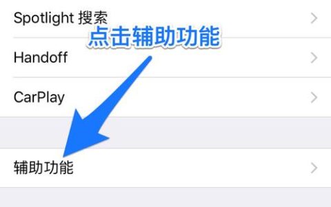 寻找11号小球球，它的正确位置在哪里？