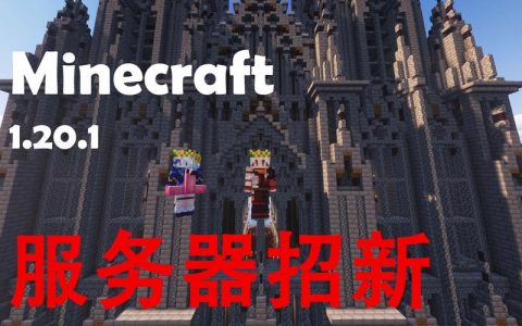 在我的世界服务器中，玩家通常建造哪些类型的结构或设施？