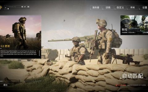 战术小队无法接入服务器，原因何在？