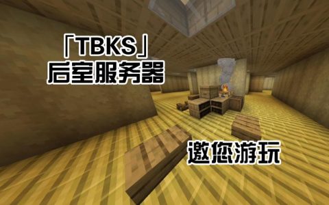 DQ在我的世界服务器中代表什么含义？