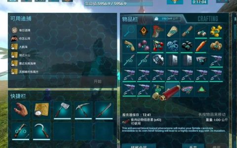 如何寻找最佳的方舟手游联机服务器？