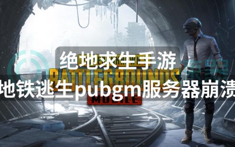 哪个服务器在绝地手游中最受玩家青睐？