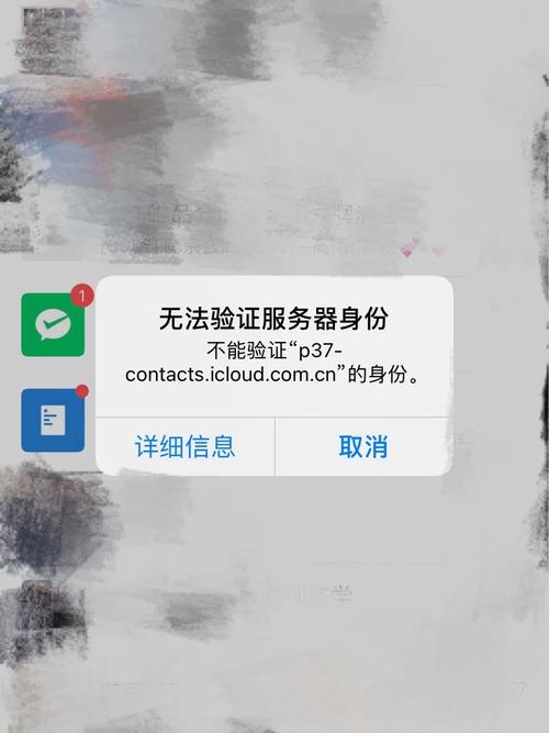 手机服务器被占用是什么意思