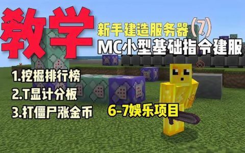 请问有哪款游戏是围绕建造服务器的主题设计的？