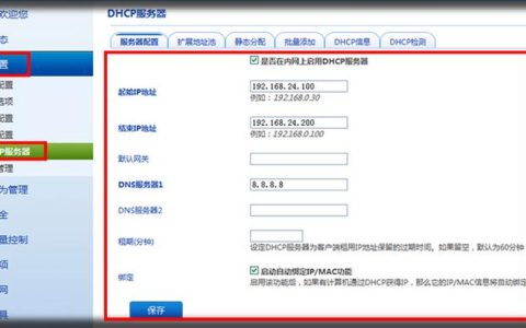 启用DHCPv6服务器在网络管理中扮演着怎样的角色？