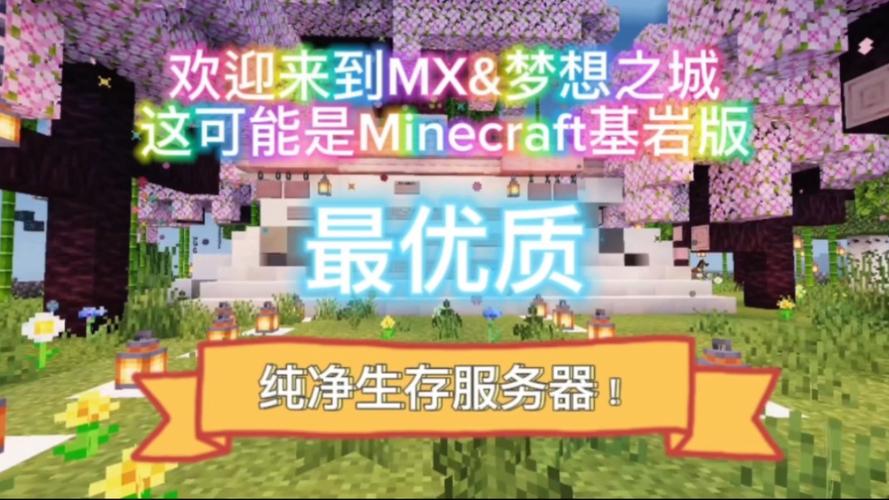 我的世界小雷的服务器是什么
