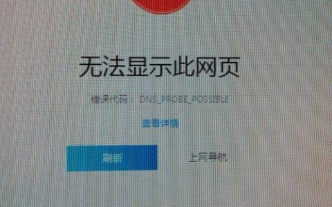 域名服务器问题究竟指的是什么?