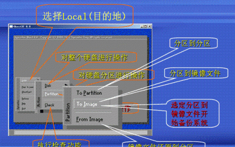 网上下载的gho文件通常存放在哪个目录？