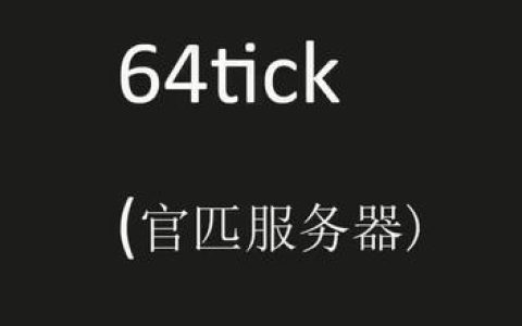 8tick服务器，定义、优势及应用场景解析