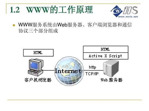 万维网服务器是什么软件