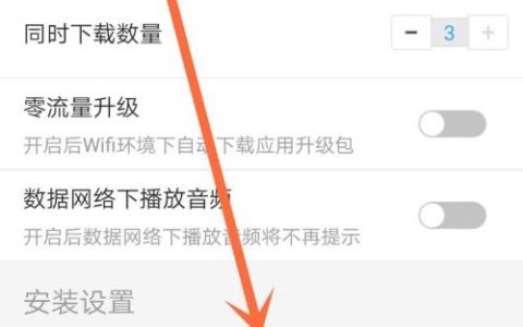 如何设置自动安装功能？