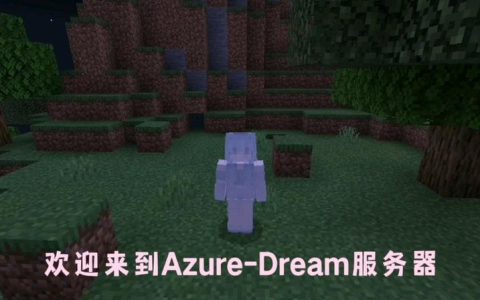 在我的世界中，Dream的私人服务器是如何命名的？