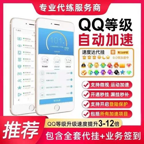 qq代挂服务器是什么意思啊