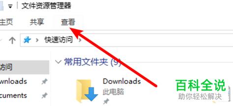 电脑显示扩展名在哪里