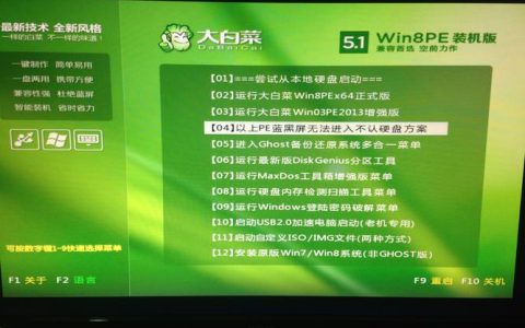 大白菜PE系统究竟隐藏在何处？