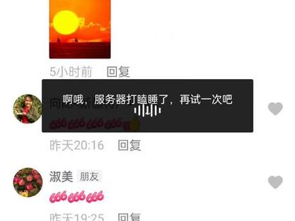 抖音服务器睡着了什么意思