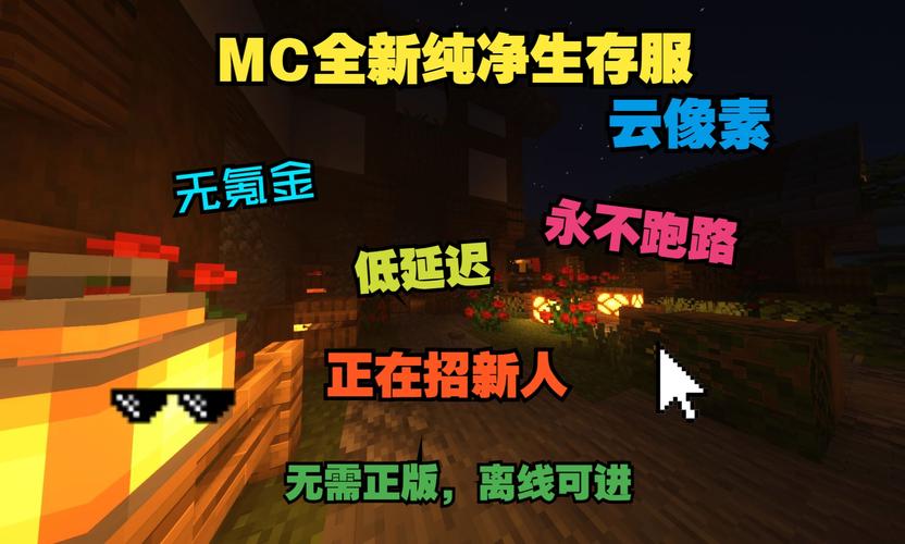 mc为什么开服找不到服务器了