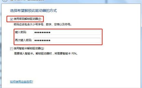 如何在U盘启动过程中设置密码保护？