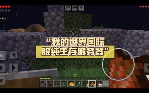我该如何确定我的我的世界服务器当前运行的版本号？