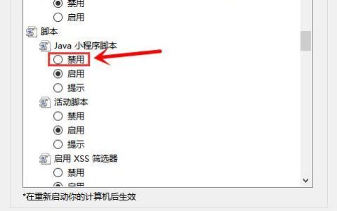 哪些场合下查看脚本是被禁止的？